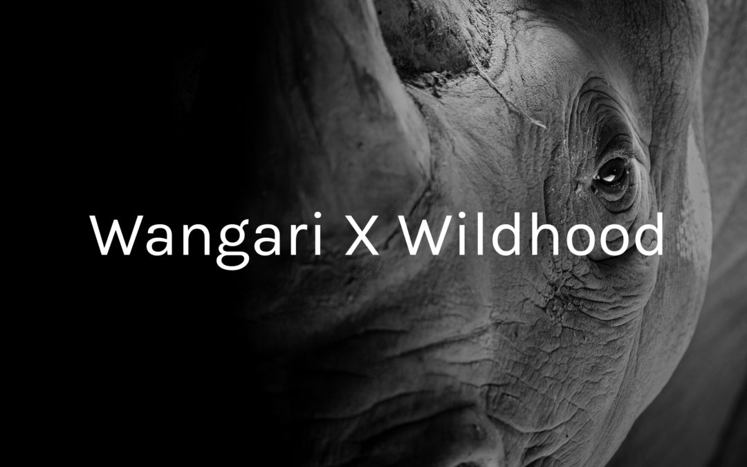 Wangari X Wildhood