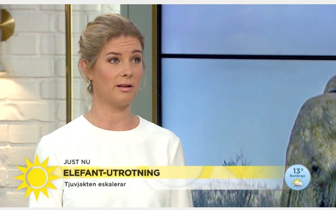 Wildhood in Swedish Television channel TV4