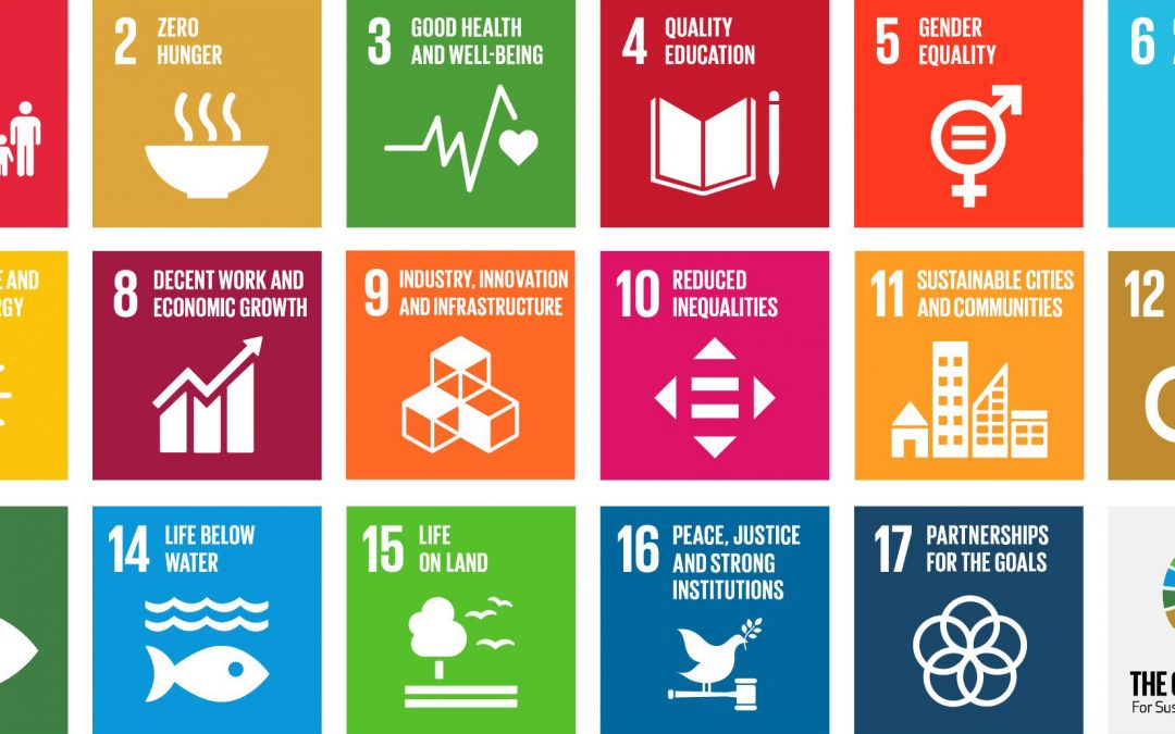 The Global Goals