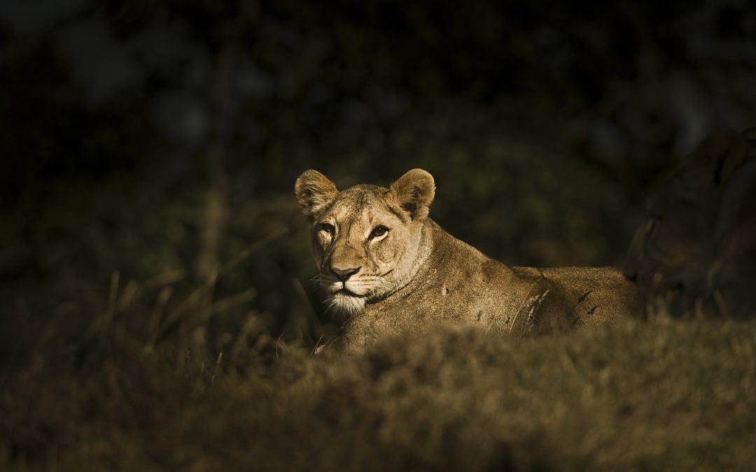 Victory for nature!