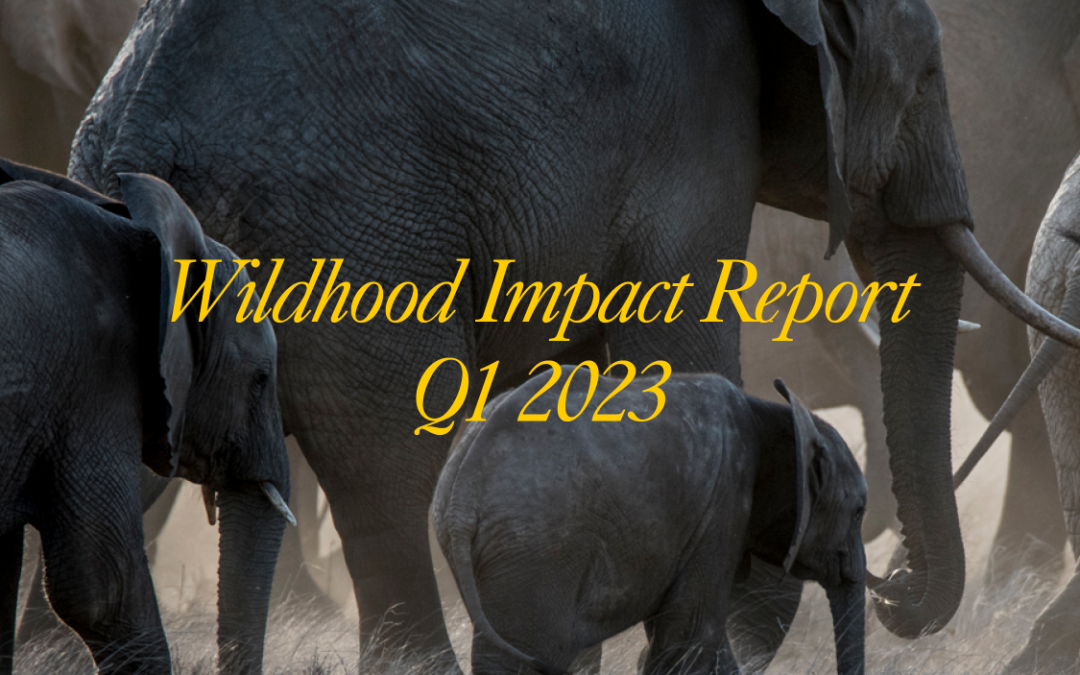 Impact Report Q1 2023