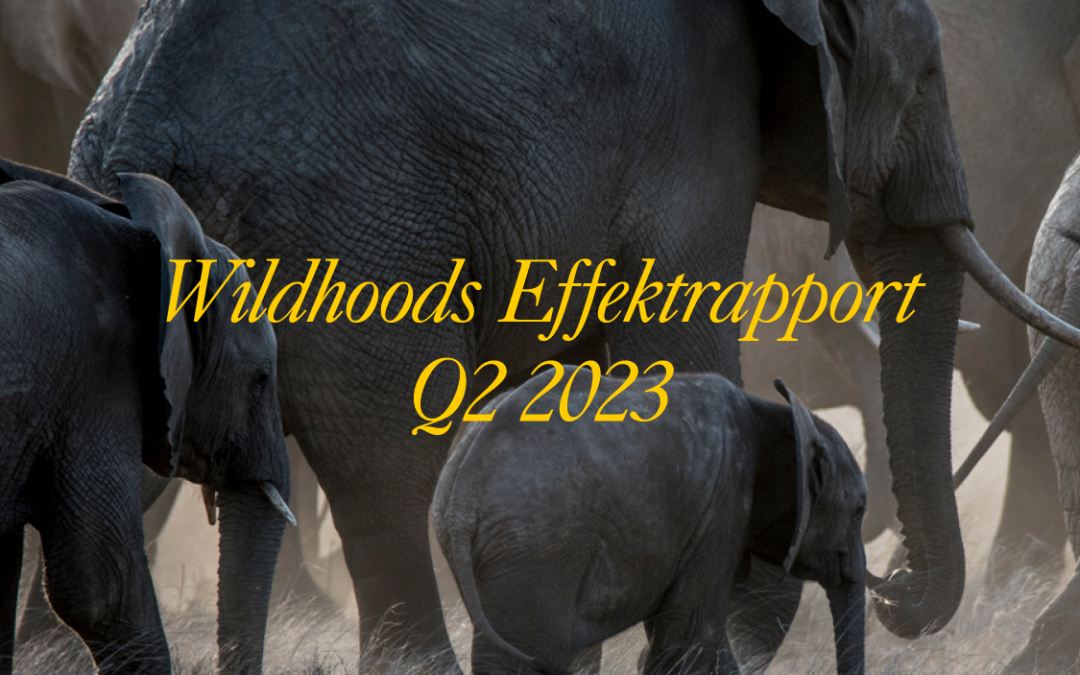 Effektrapport Q2 2023