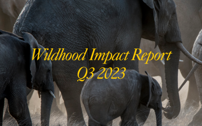 Impact report Q3 2023