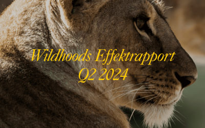 Effektrapport Q2 2024